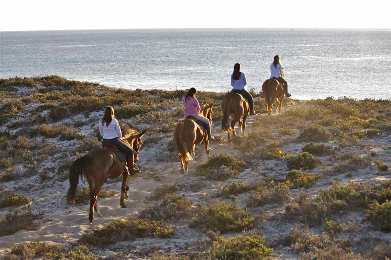 Monte Dos Passarinhos Villa Grândola Exteriör bild